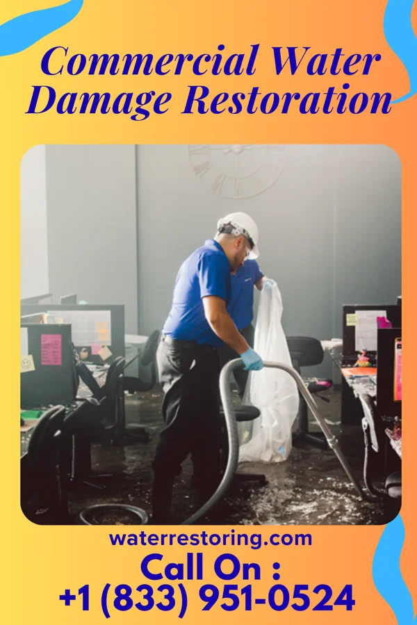 Commercial Water Damage Restoration in Elmwood, LA
