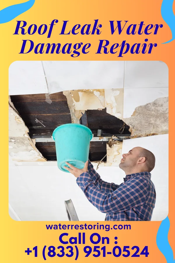 Roof Leak Water Damage Repair in Elmwood, LA